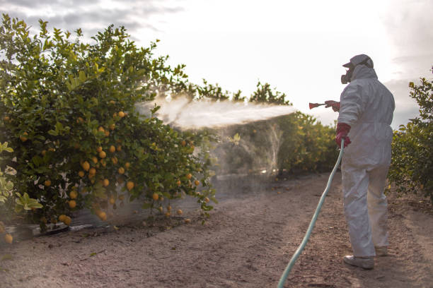 Best Pest Control Near Me in Tacoma, WA